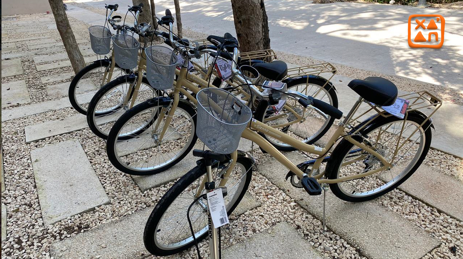 Aldea Zama, Estado de México, ,Departamento,En Venta,Aldea Zama,1030